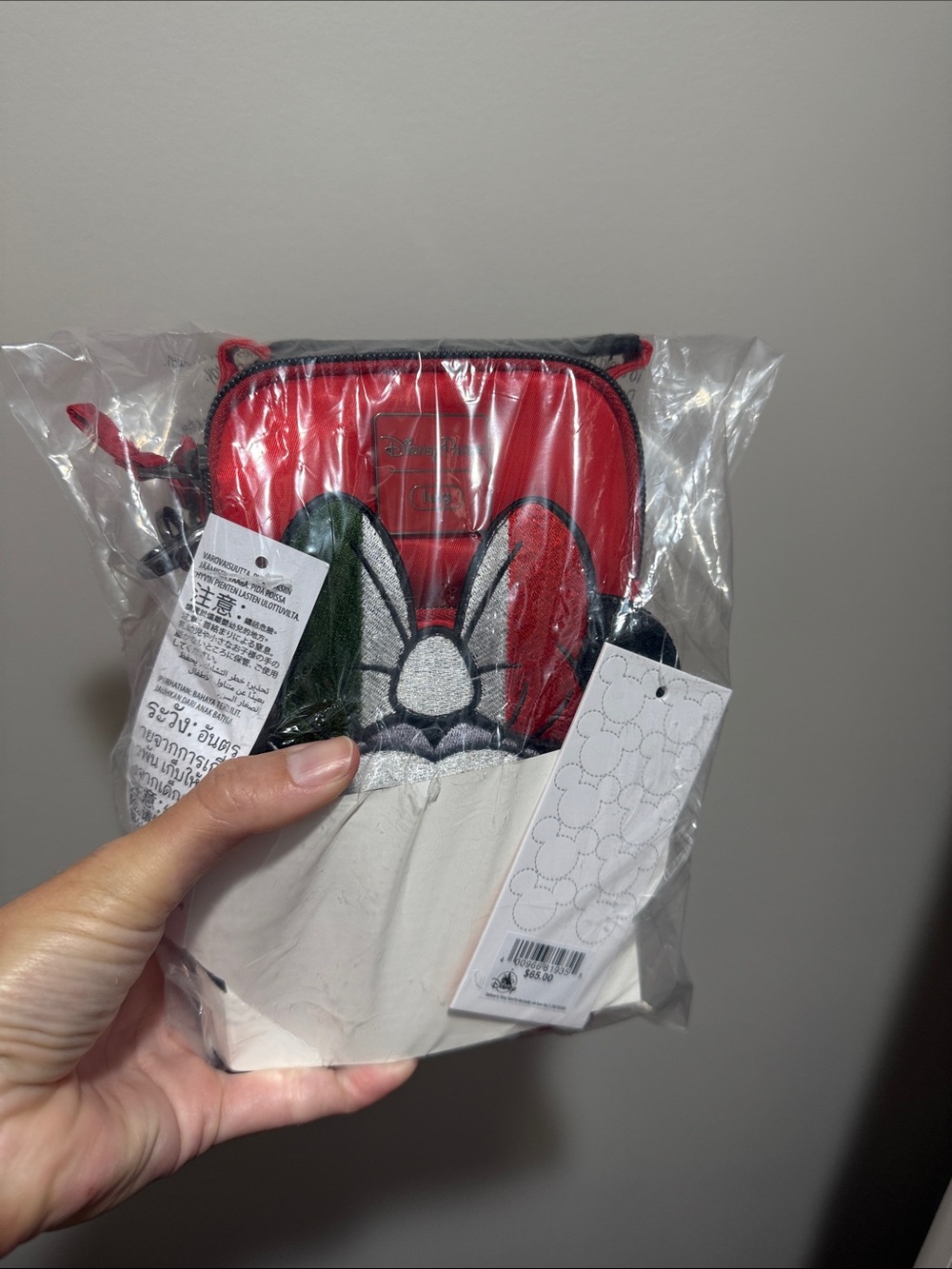 Disney parks Italy lug
